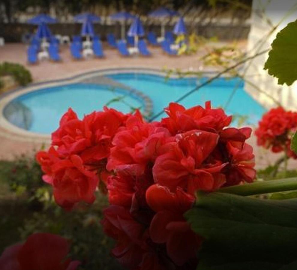 Lili Apartments,Oasis 2,5 Km From Hania Center Parigoria Exteriör bild