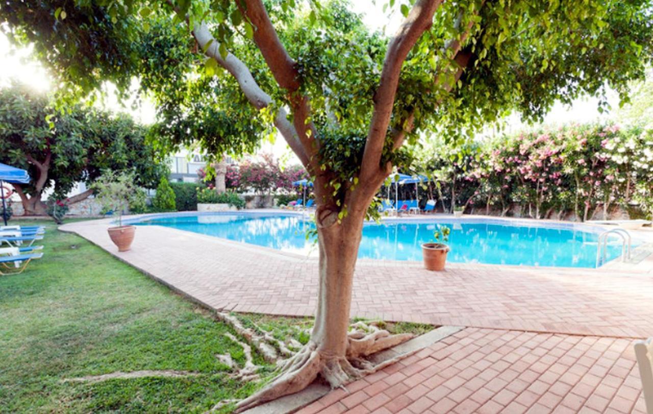 Lili Apartments,Oasis 2,5 Km From Hania Center Parigoria Exteriör bild
